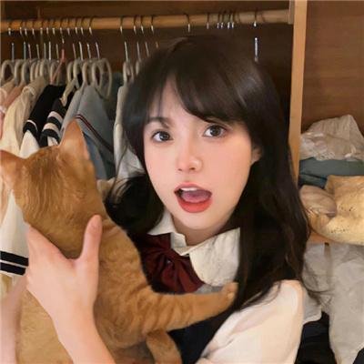 飞鹰